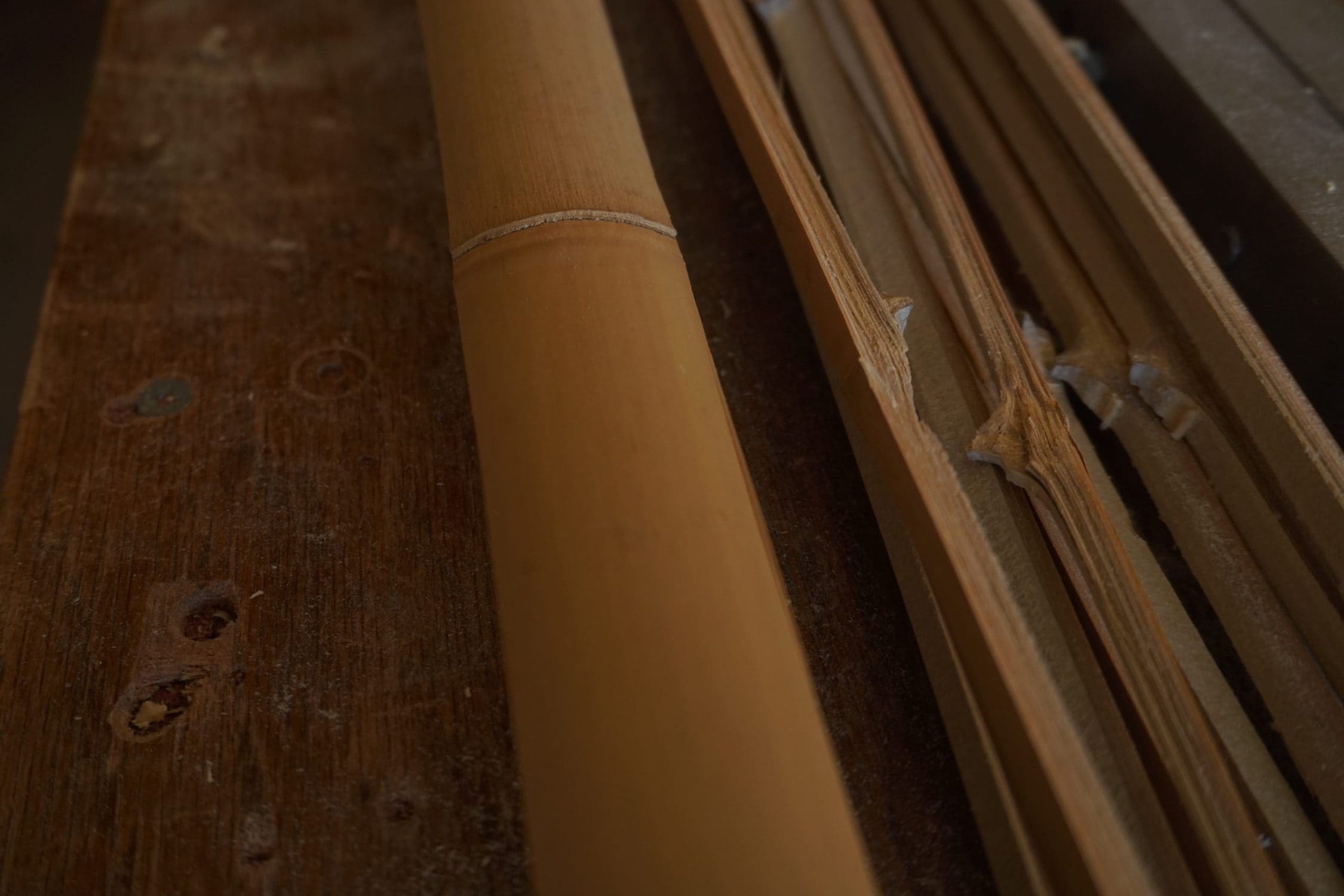 selecting the cane