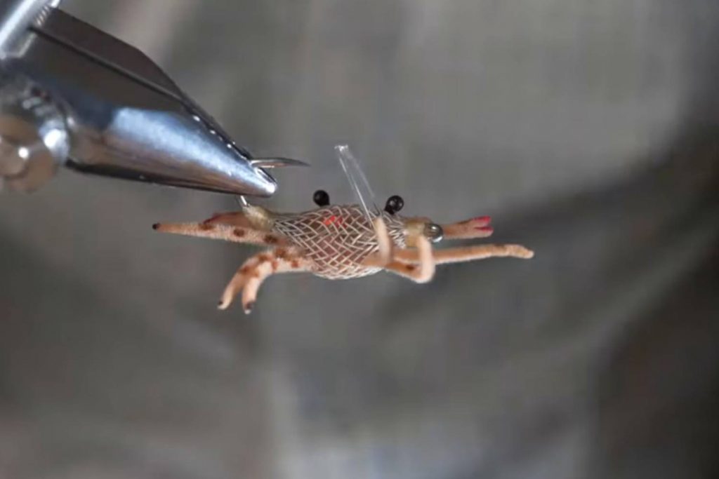 Alphlexo Crab