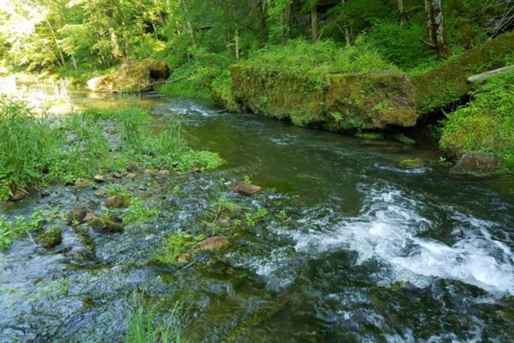 Bear Creek