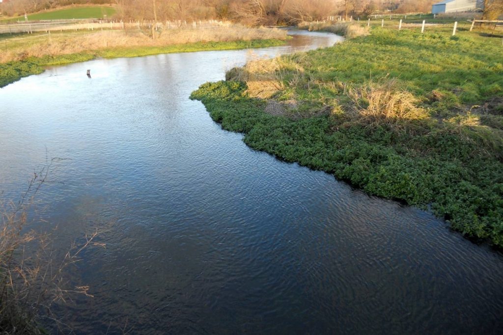 Black Earth Creek