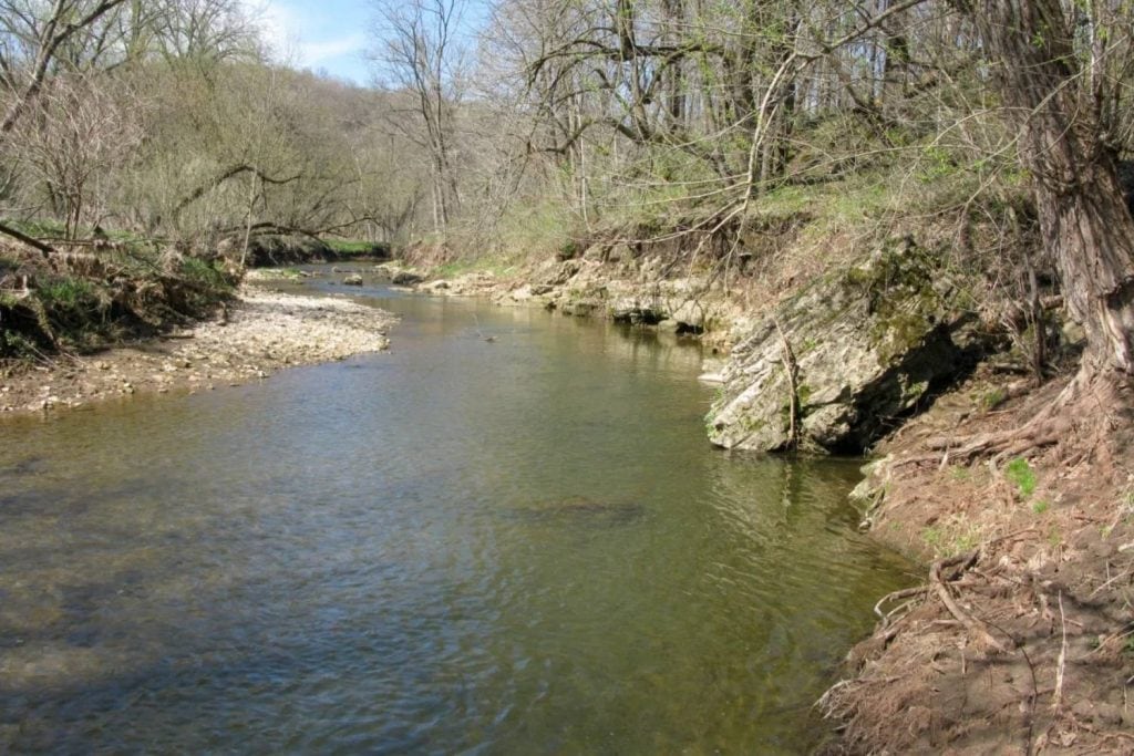 Bloody Run Creek