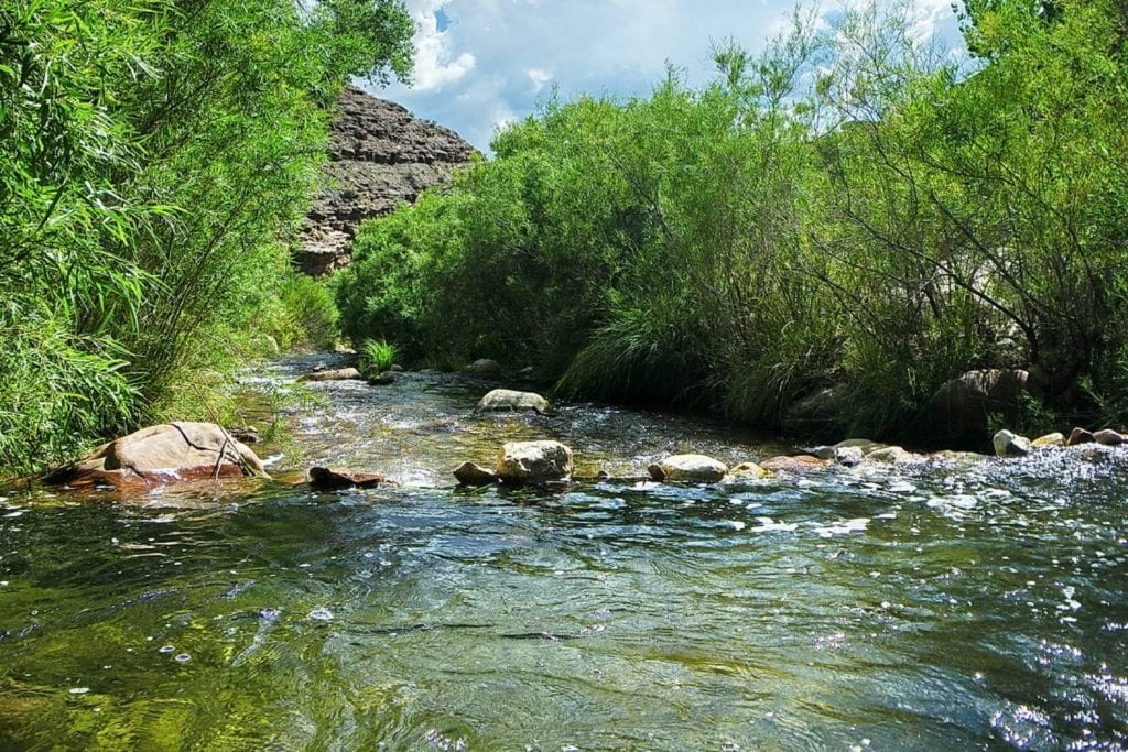 Bright Angel Creek