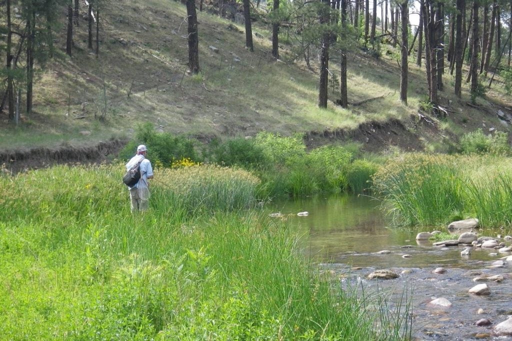 Canyon Creek