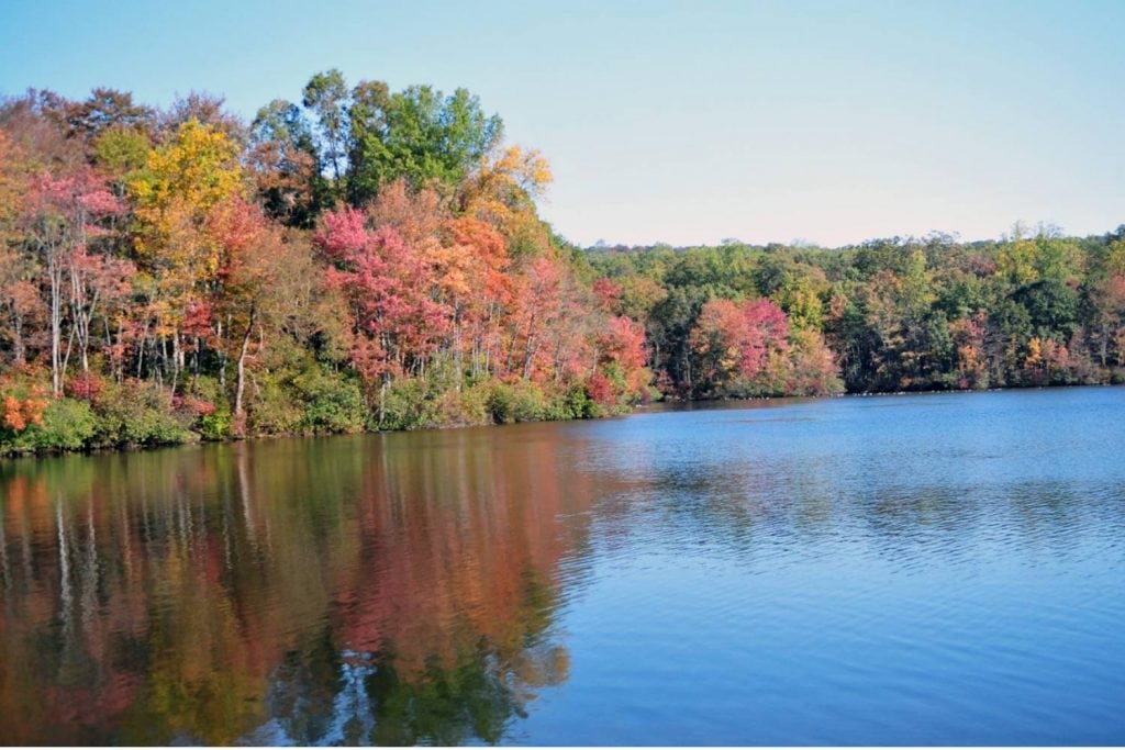 French Creek