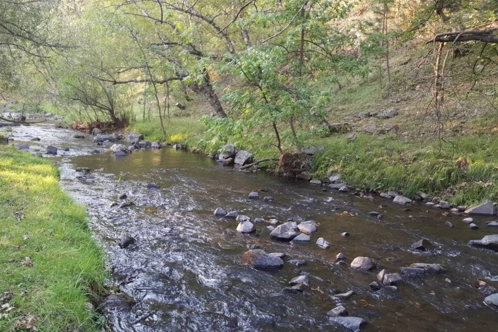 Grace Coolidge Creek