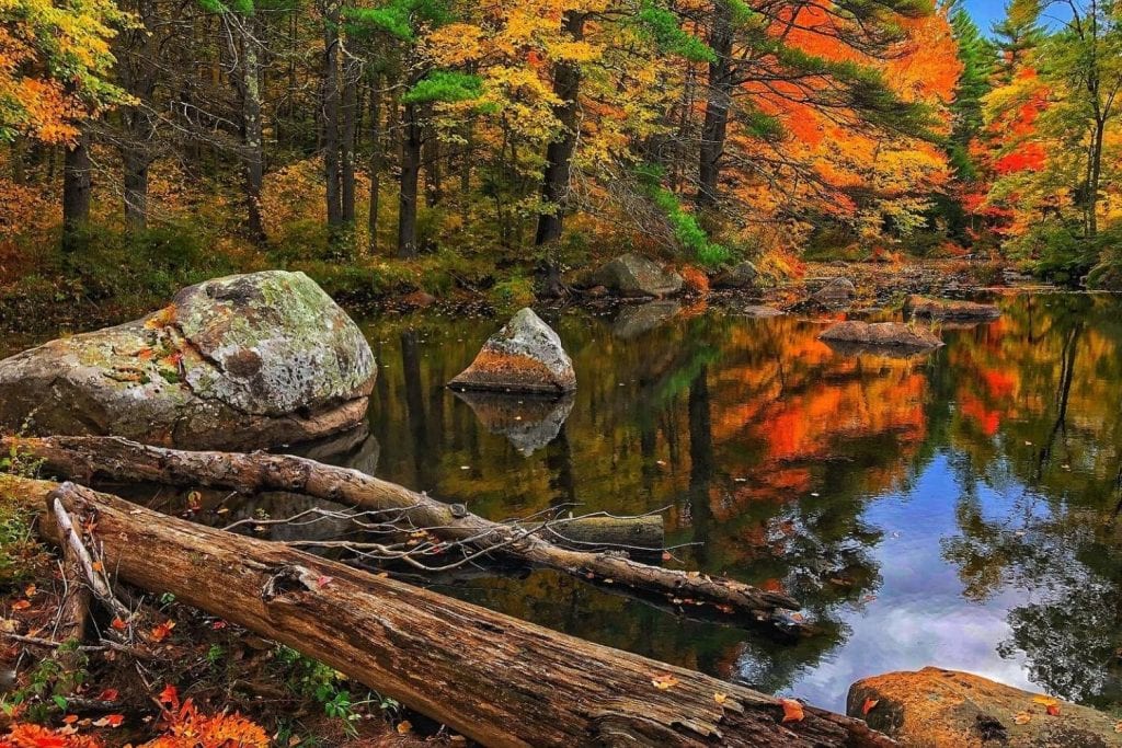 Isinglass River