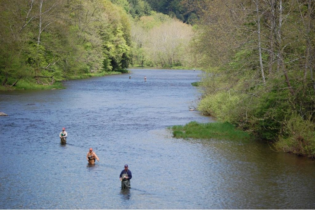 Kettle Creek