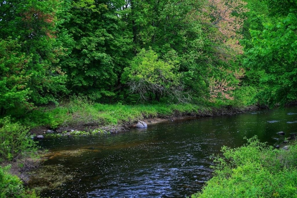 Lamprey River