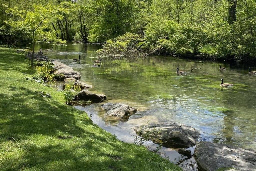 Letort Spring Run