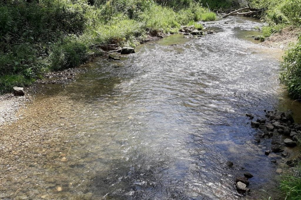 Lower Swiss Valley Creek