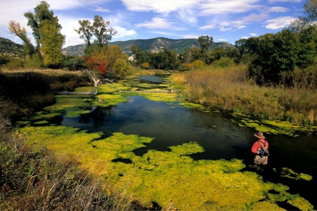 Paradise Valley Spring Creeks