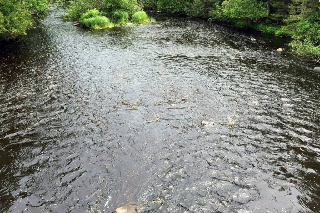 Pine River