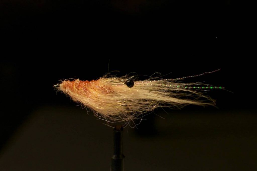 Pseudo Shrimp