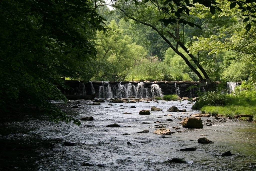 Ridley Creek