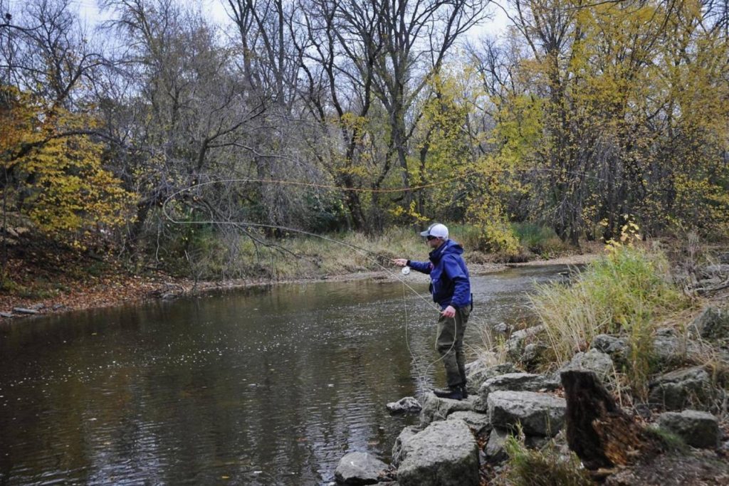 Root River