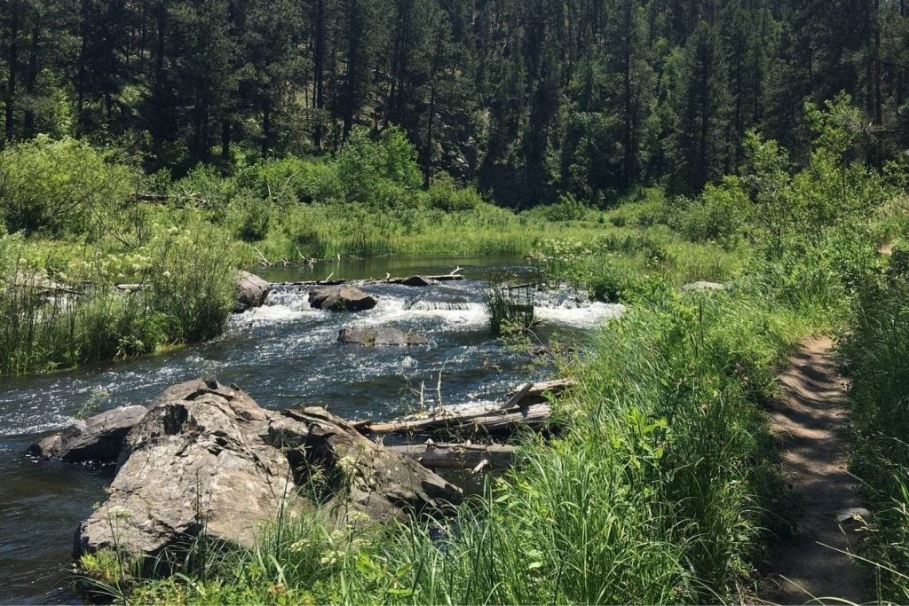 Spring Creek
