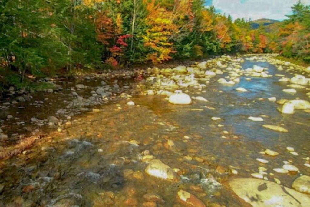 The Swift River