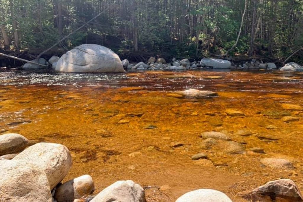 The Upper Pemigewasset River