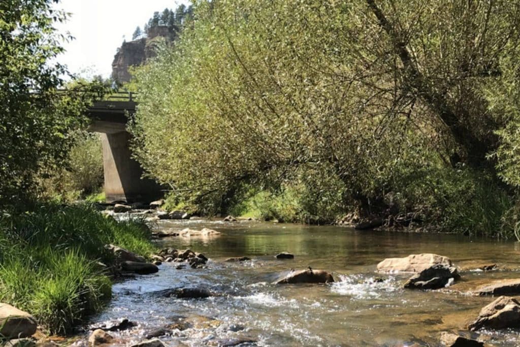 Whitewood Creek