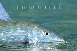 best bonefish flies