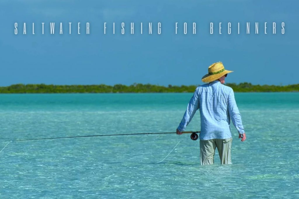 saltwater fishing for beginners