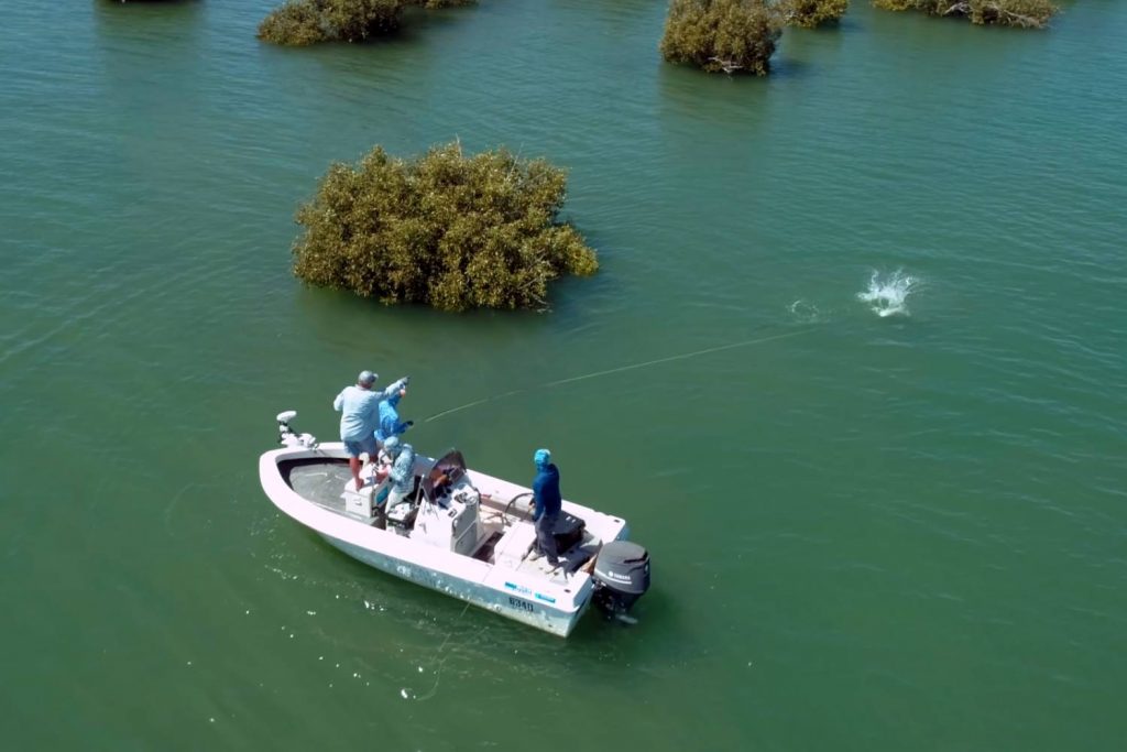 saltwater fly fishing for beginners conclusion