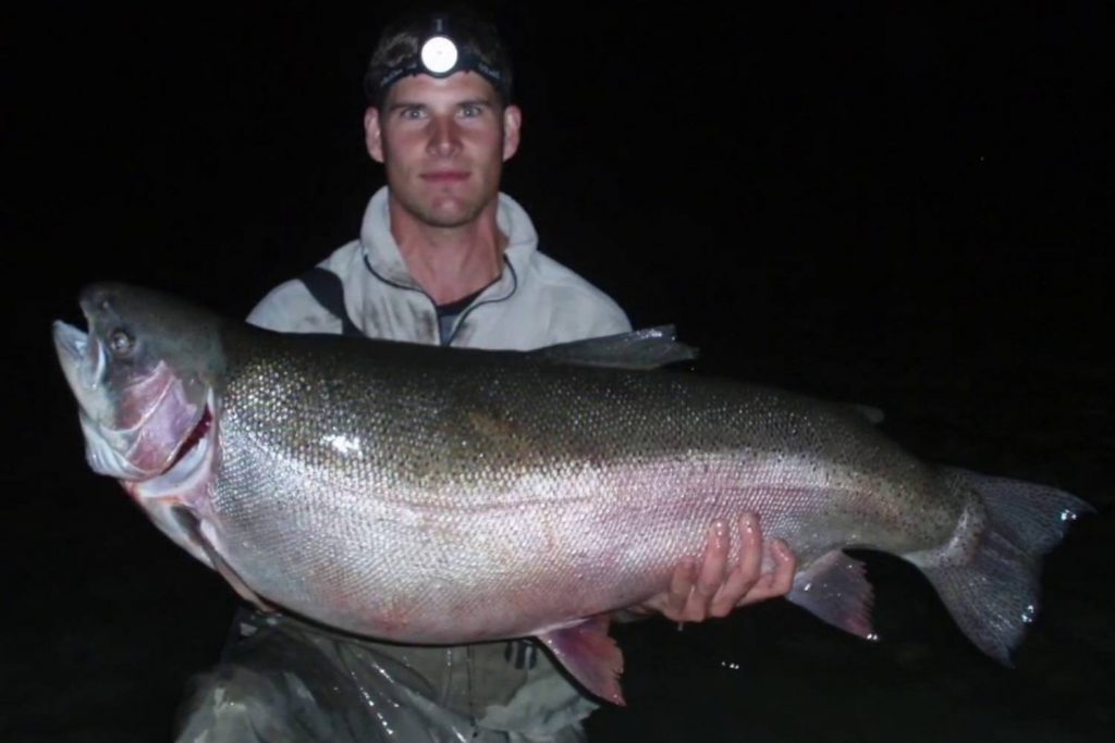 world record rainbow trout