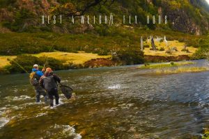 best 4 weight fly rods