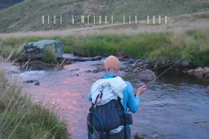 best 5 weight fly rods