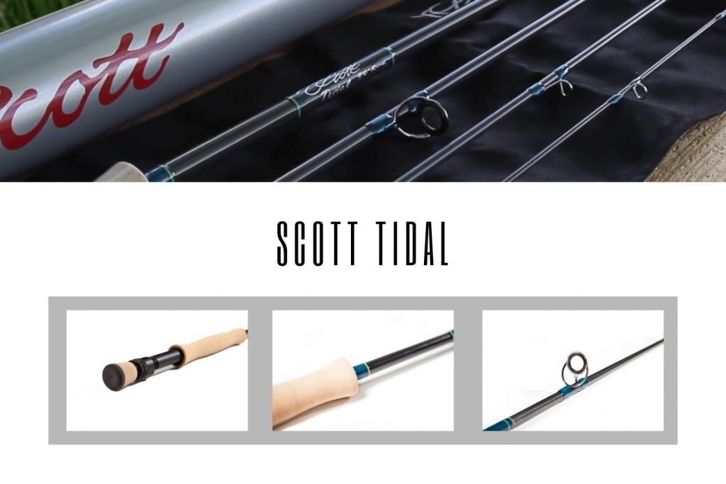 Scott Tidal