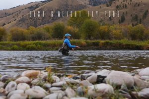 best 6 weight fly rods
