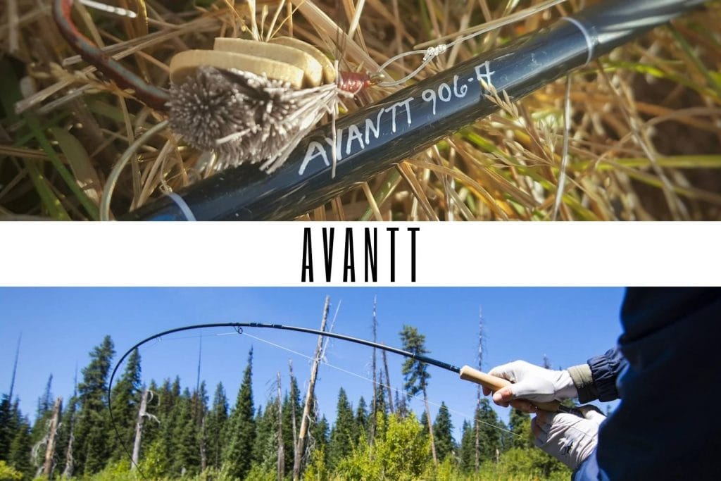 thomas and thomas avantt