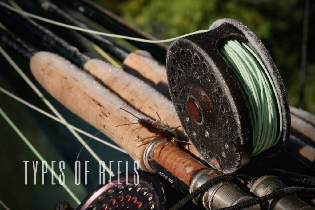 types of reels