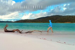 best saltwater fly line