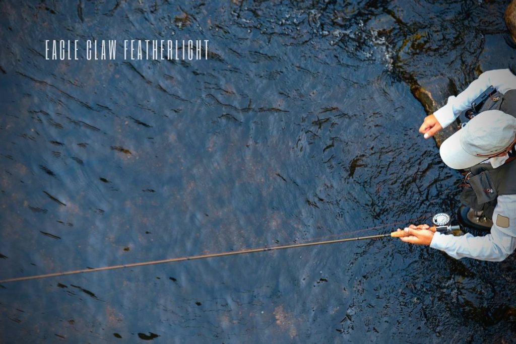 Eagle Claw Featherlight Fly Rod