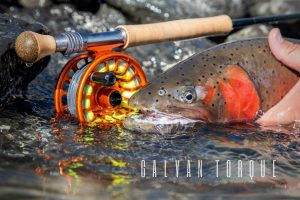 Galvan Torque Review