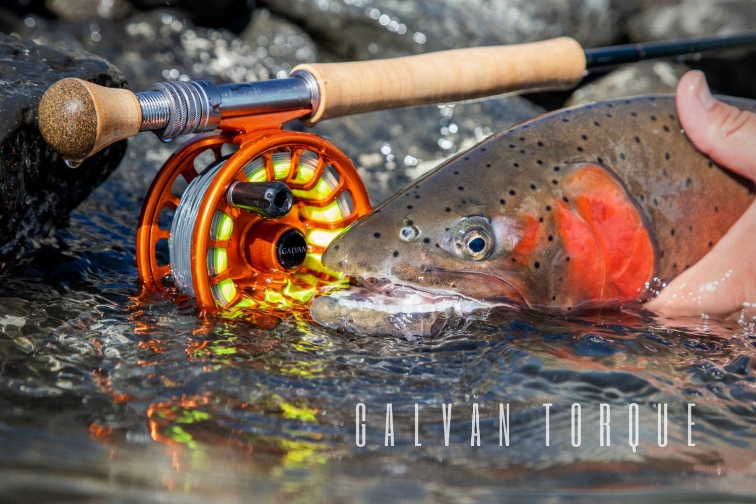 Galvan Torque Review