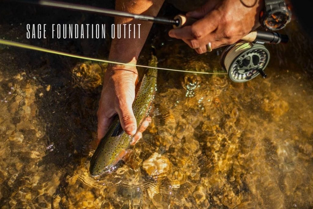 Sage Foundation Outfit