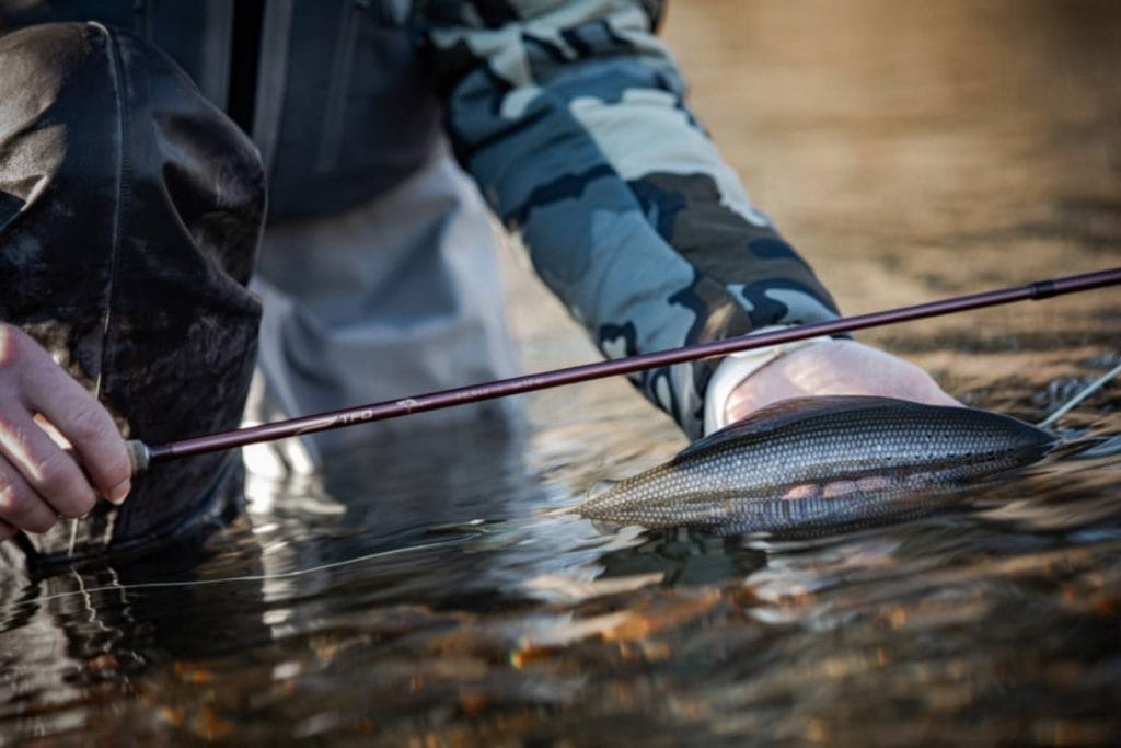 TFO Mangrove fly rod