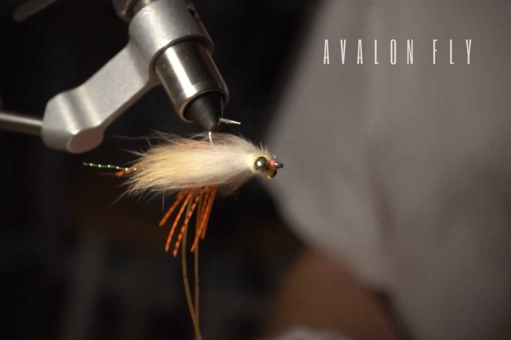 avalon fly