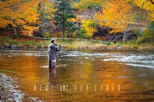 best 5wt fly lines