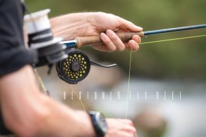 best beginner fly reel