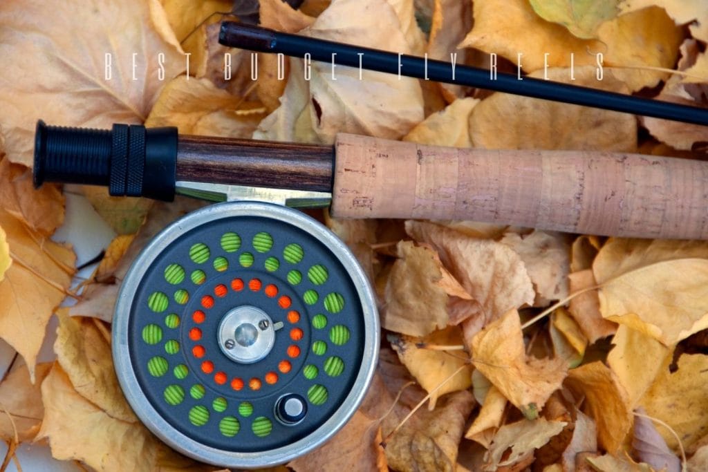 best budget fly reels