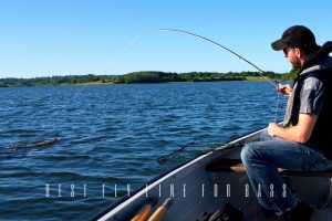 best fly line for bass