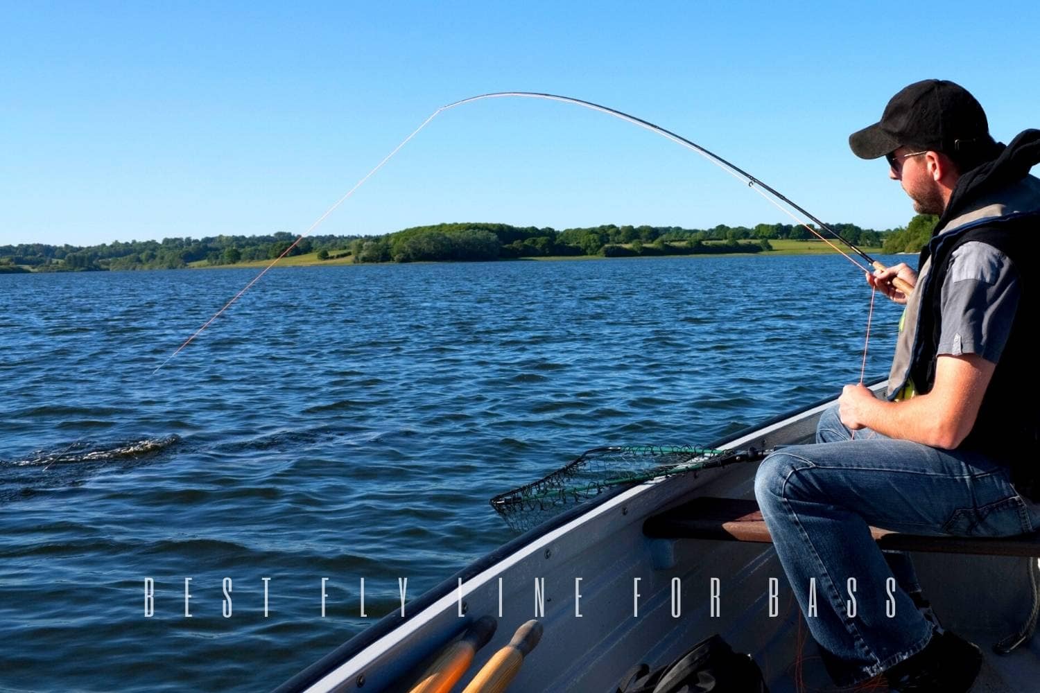 best fly line for bass