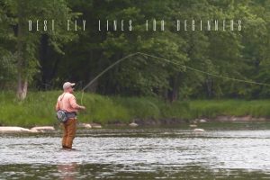 best fly lines for beginners