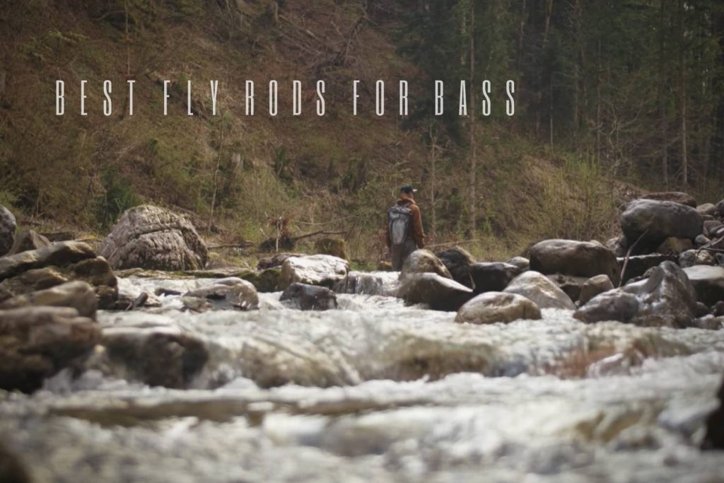 best fly rods for bass