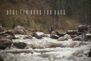best fly rods for bass
