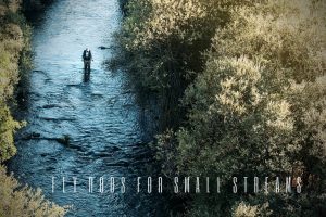 best fly rods for small streams
