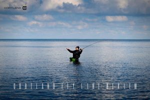 cortland fly line review
